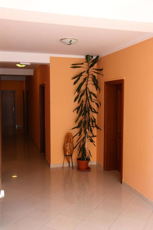 Tamaris Hotel 3*